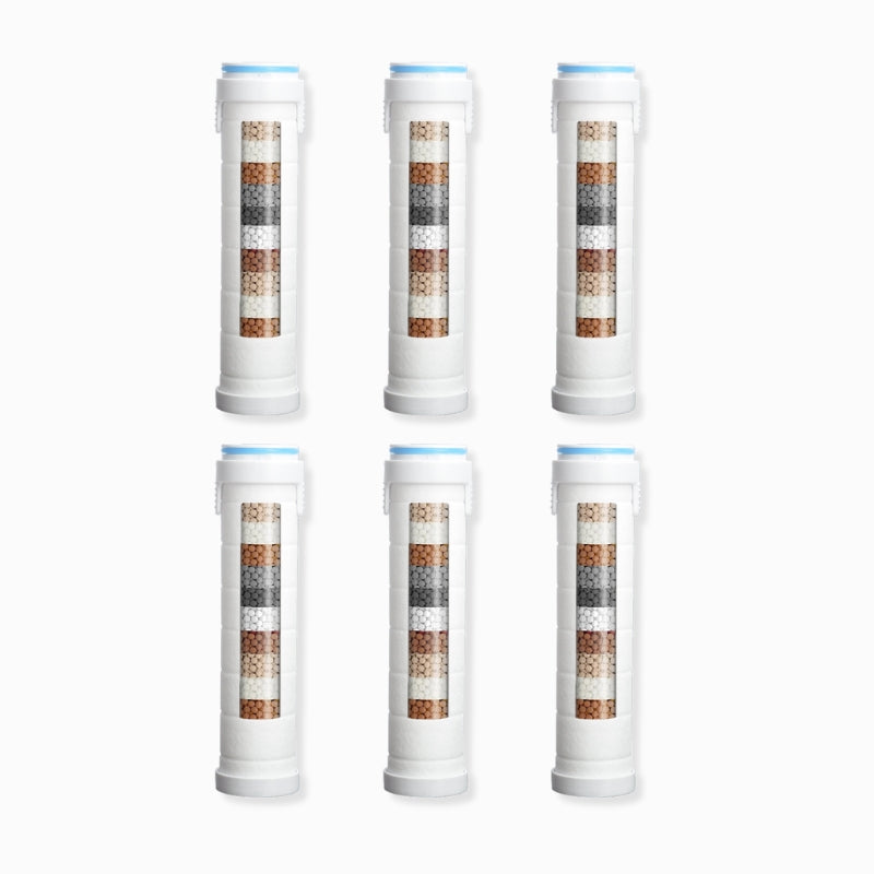 6 Pack Replacement Filters